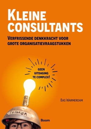 Kleine consultants 