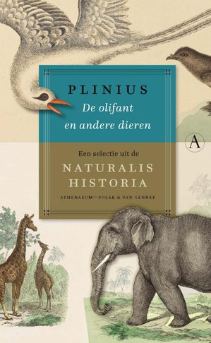 De olifant en andere dieren 