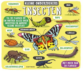 Insecten - Kleine onderzoekers 