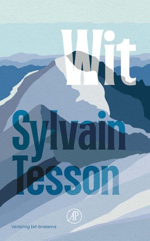 Wit - Tesson Sylvain  