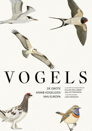 Vogels - De grote ANWB vogelgids van Europa 