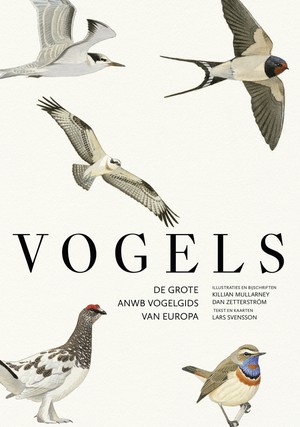 Vogels 