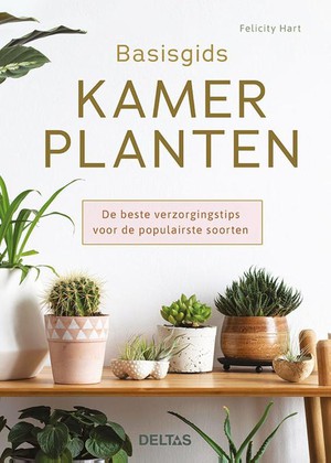 Basisgids kamerplanten 