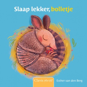 Slaap lekker, bolletje 