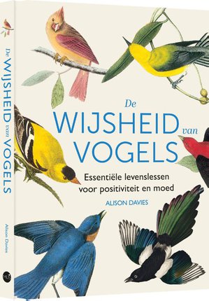 De wijsheid van vogels 