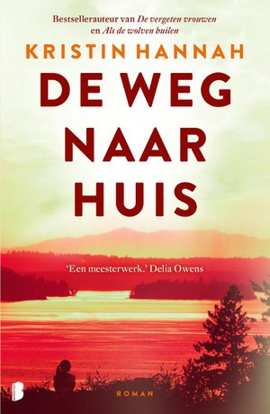 De weg naar huis 