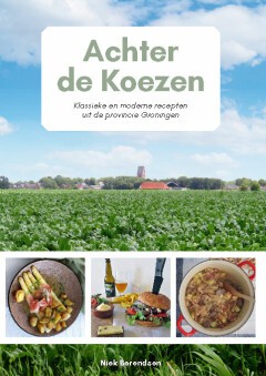 Achter de Koezen 