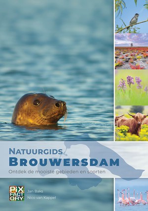 Natuurgids Brouwersdam 