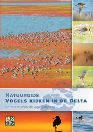 Natuurgids Vogels kijken in de Delta 