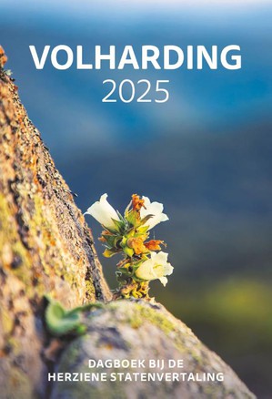 Volharding 2025 