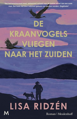 De kraanvogels vliegen naar het zuiden 