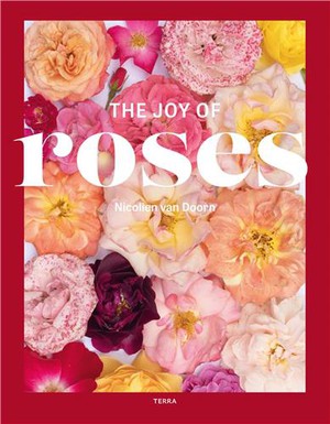The Joy Of Roses 