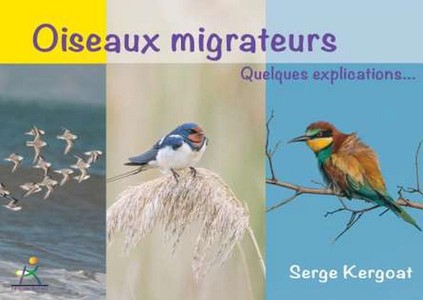 Oiseaux Migrateurs : Quelques Explications... 
