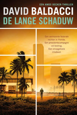 De lange schaduw 