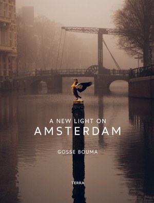 A New Light on Amsterdam 