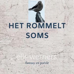 HET ROMMELT SOMS 