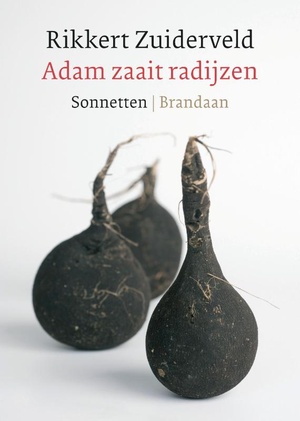 Adam Zaait Radijzen 