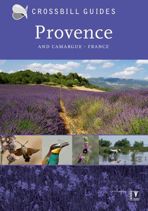 Provence and Camargue - France 