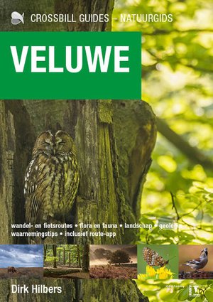 Veluwe 