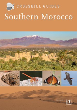 SOUTHERN MOROCCO 