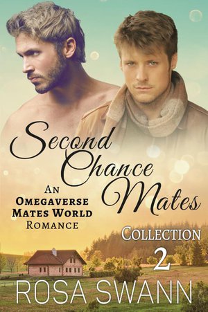 Second Chance Mates Collection 2