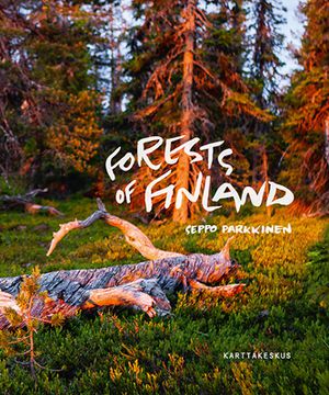 Forests of Finland  