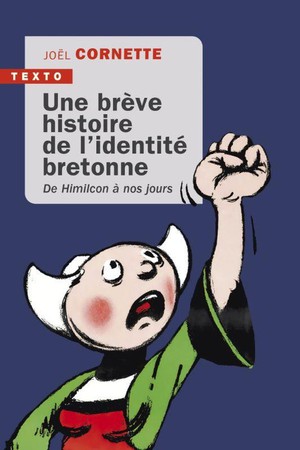 Une Breve Histoire De L'identite Bretonne : De Himilcon A Nos Jours 