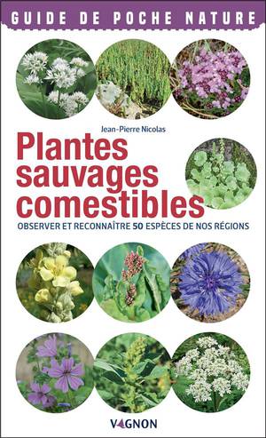 Plantes Sauvages Comestibles : Observer Et Reconnaitre 50 Especes De Nos Regions 