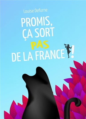 Promis, Ca Sort Pas De La France ! 