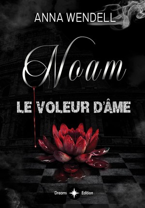 Noam - Le Voleur D'ame 