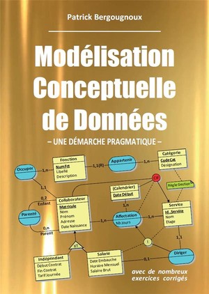 Modelisation Conceptuelle De Donnees ; Une Demarche Pragmatique 