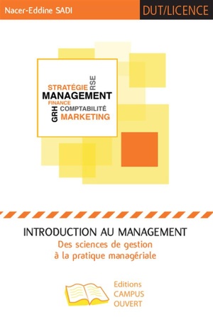 Introduction Au Management Des Sciences De Gestion A La Pratique Manageriale 
