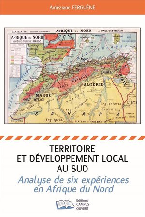 Territoire Et Developpement Local Au Sud ; Analyse De Six Experiences En Afrique Du Nord 