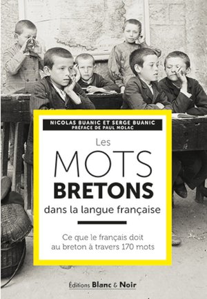 Les Mots Bretons Dans La Langue Francaise - Ce Que Le Francais Doit Au Breton A Tranvers 170 Mots 