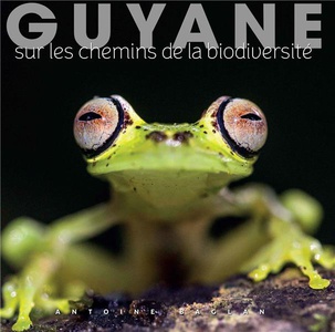 Guyane ; Sur Les Chemins De La Biodiversite 