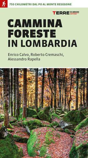 CAMMINA FORESTE IN LOMBARDIA 