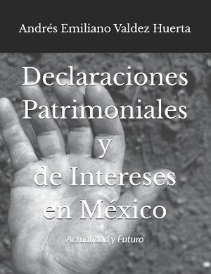 Declaraciones Patrimoniales y de Intereses en M�xico