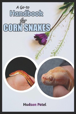 A Go-To Handbook For Corn Snakes