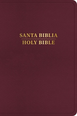 Rvr 1960/KJV Biblia Biling�e, Borgo�a Imitaci�n Piel (2024 Ed.)