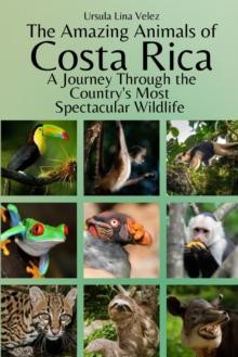 AMAZING ANIMALS OF COSTA RICA : WILDLIFE 