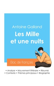 Reussir Son Bac De Francais 2024 : Analyse Des Mille Et Une Nuits De Antoine Galland 