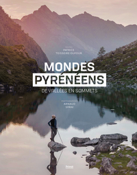 Mondes Pyreneens : De Vallees En Sommets 