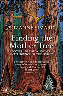 Finding the mother tree: uncovering the wisdom and intelligence of the forest 