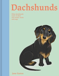 Dachshunds : what dachshunds want 