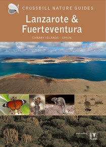 Crossbill Guide Lanzarote and Fuerteventura 