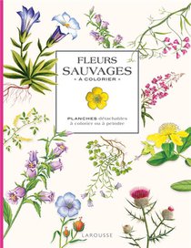 Fleurs Sauvages A Colorier : Planches Detachables A Colorier Ou A Peindre 