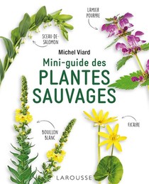 Mini-guide Des Plantes Sauvages 