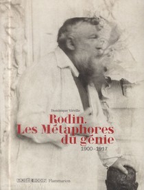 Rodin ; Les Metaphores Du Genie 