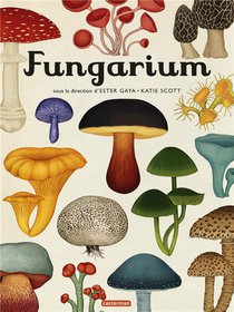 Les champignons dans un musée de papier !