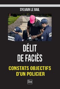 Delit De Facies : Constats Objectifs D'un Policier 
